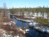 Сибирская природа